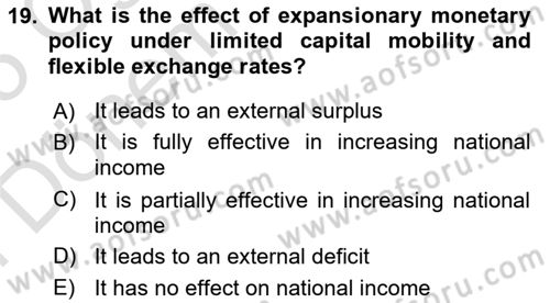 International Economics 2 Dersi 2024 - 2025 Yılı (Final) Dönem Sonu Sınav Soruları 19. Soru