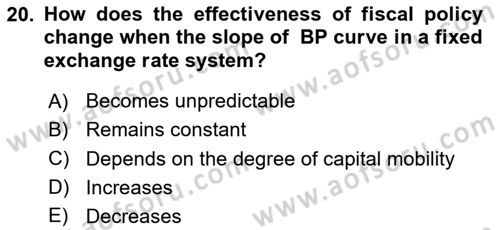 International Economics 2 Dersi 2024 - 2025 Yılı (Final) Dönem Sonu Sınav Soruları 20. Soru