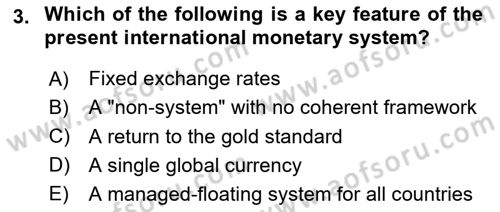 International Economics 2 Dersi 2024 - 2025 Yılı (Final) Dönem Sonu Sınav Soruları 3. Soru