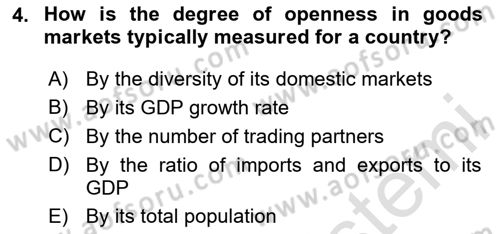International Economics 2 Dersi 2024 - 2025 Yılı (Final) Dönem Sonu Sınav Soruları 4. Soru