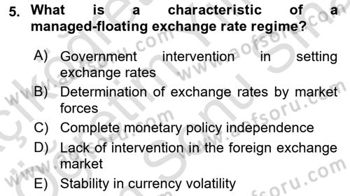 International Economics 2 Dersi 2024 - 2025 Yılı (Final) Dönem Sonu Sınav Soruları 5. Soru