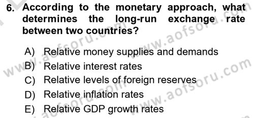International Economics 2 Dersi 2024 - 2025 Yılı (Final) Dönem Sonu Sınav Soruları 6. Soru