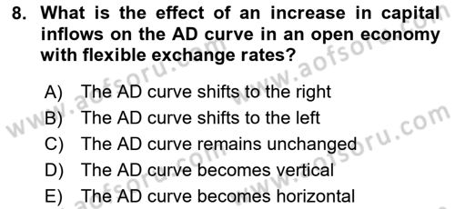 International Economics 2 Dersi 2024 - 2025 Yılı (Final) Dönem Sonu Sınav Soruları 8. Soru