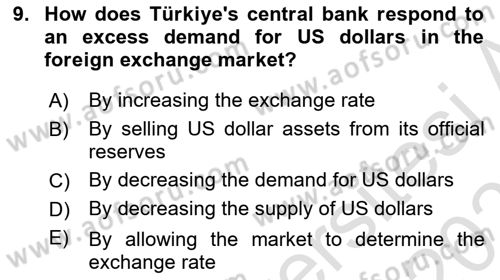 International Economics 2 Dersi 2024 - 2025 Yılı (Final) Dönem Sonu Sınav Soruları 9. Soru