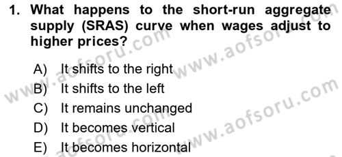 International Economics 2 Dersi 2024 - 2025 Yılı Yaz Okulu Sınav Soruları 1. Soru