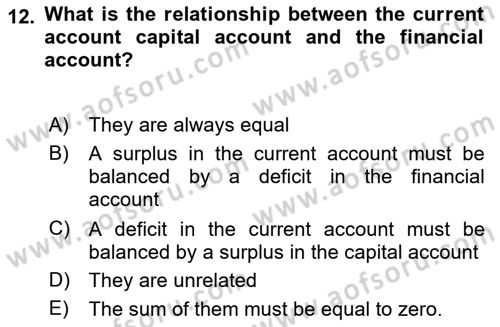 International Economics 2 Dersi 2024 - 2025 Yılı Yaz Okulu Sınav Soruları 12. Soru