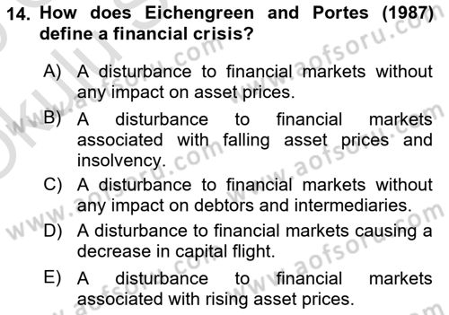 International Economics 2 Dersi 2024 - 2025 Yılı Yaz Okulu Sınav Soruları 14. Soru