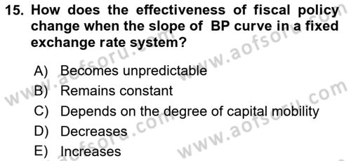 International Economics 2 Dersi 2024 - 2025 Yılı Yaz Okulu Sınav Soruları 15. Soru