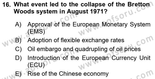 International Economics 2 Dersi 2024 - 2025 Yılı Yaz Okulu Sınav Soruları 16. Soru
