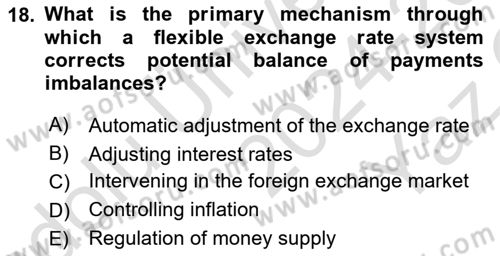 International Economics 2 Dersi 2024 - 2025 Yılı Yaz Okulu Sınav Soruları 18. Soru