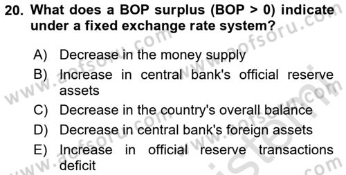 International Economics 2 Dersi 2024 - 2025 Yılı Yaz Okulu Sınav Soruları 20. Soru