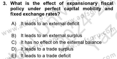International Economics 2 Dersi 2024 - 2025 Yılı Yaz Okulu Sınav Soruları 3. Soru