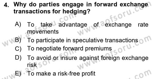 International Economics 2 Dersi 2024 - 2025 Yılı Yaz Okulu Sınav Soruları 4. Soru
