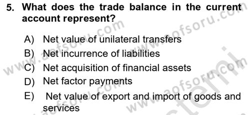 International Economics 2 Dersi 2024 - 2025 Yılı Yaz Okulu Sınav Soruları 5. Soru