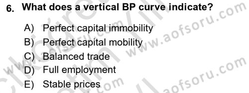 International Economics 2 Dersi 2024 - 2025 Yılı Yaz Okulu Sınav Soruları 6. Soru