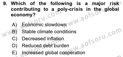 International Economics 2 Dersi 2024 - 2025 Yılı Yaz Okulu Sınav Soruları 9. Soru