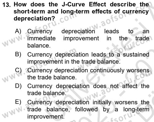 International Economics 2 Dersi 2025 - 2026 Yılı (Vize) Ara Sınav Soruları 13. Soru