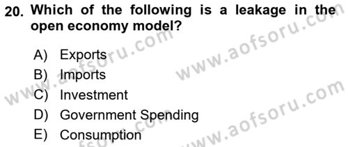International Economics 2 Dersi 2025 - 2026 Yılı (Vize) Ara Sınav Soruları 20. Soru