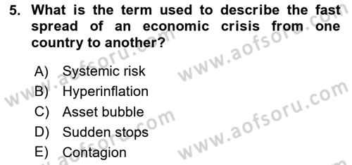 International Economics 2 Dersi 2025 - 2026 Yılı (Vize) Ara Sınav Soruları 5. Soru