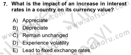 International Economics 2 Dersi 2025 - 2026 Yılı (Vize) Ara Sınav Soruları 7. Soru