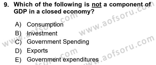 International Economics 2 Dersi 2025 - 2026 Yılı (Vize) Ara Sınav Soruları 9. Soru