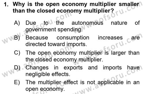 International Economics 2 Dersi 2025 - 2026 Yılı (Final) Dönem Sonu Sınav Soruları 1. Soru