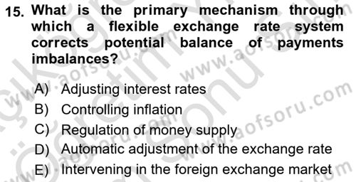 International Economics 2 Dersi 2025 - 2026 Yılı (Final) Dönem Sonu Sınav Soruları 15. Soru