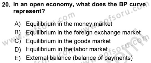International Economics 2 Dersi 2025 - 2026 Yılı (Final) Dönem Sonu Sınav Soruları 20. Soru