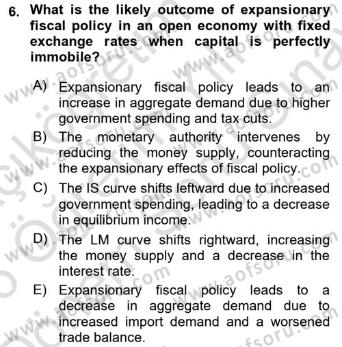 International Economics 2 Dersi 2025 - 2026 Yılı (Final) Dönem Sonu Sınav Soruları 6. Soru