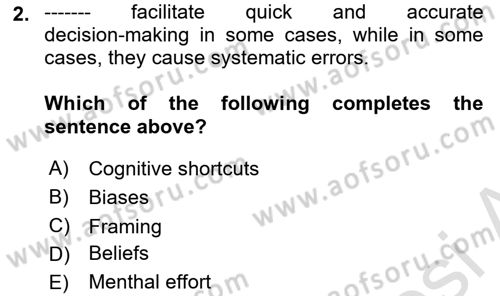 Behavioral Economics Dersi 2023 - 2024 Yılı (Vize) Ara Sınav Soruları 2. Soru