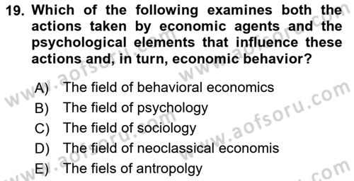 Behavioral Economics Dersi 2023 - 2024 Yılı Yaz Okulu Sınav Soruları 19. Soru