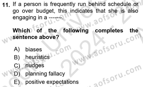 Behavioral Economics Dersi 2024 - 2025 Yılı (Vize) Ara Sınav Soruları 11. Soru