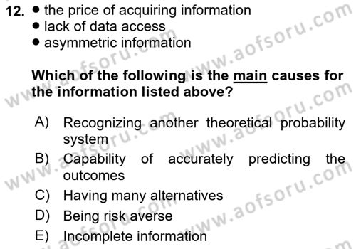 Behavioral Economics Dersi 2024 - 2025 Yılı (Vize) Ara Sınav Soruları 12. Soru