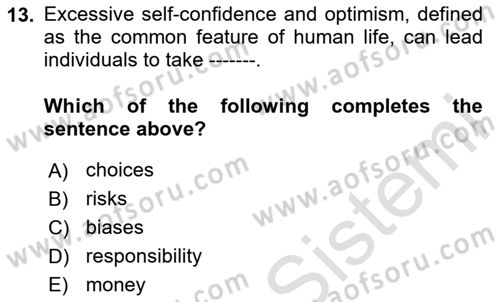 Behavioral Economics Dersi 2024 - 2025 Yılı (Vize) Ara Sınav Soruları 13. Soru