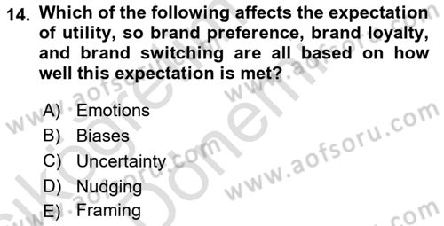 Behavioral Economics Dersi 2024 - 2025 Yılı (Vize) Ara Sınav Soruları 14. Soru