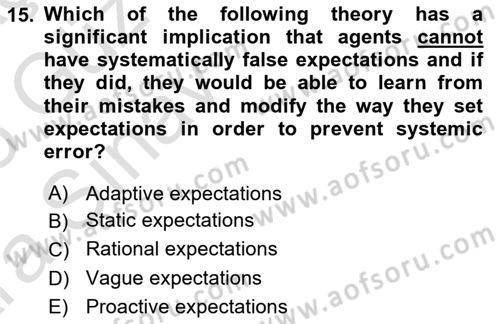 Behavioral Economics Dersi 2024 - 2025 Yılı (Vize) Ara Sınav Soruları 15. Soru
