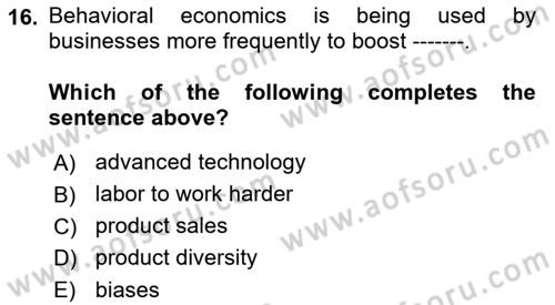 Behavioral Economics Dersi 2024 - 2025 Yılı (Vize) Ara Sınav Soruları 16. Soru