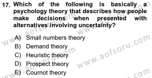 Behavioral Economics Dersi 2024 - 2025 Yılı (Vize) Ara Sınav Soruları 17. Soru