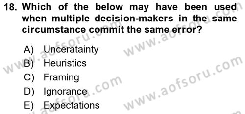 Behavioral Economics Dersi 2024 - 2025 Yılı (Vize) Ara Sınav Soruları 18. Soru