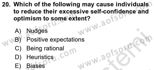 Behavioral Economics Dersi 2024 - 2025 Yılı (Vize) Ara Sınav Soruları 20. Soru