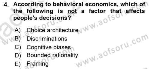 Behavioral Economics Dersi 2024 - 2025 Yılı (Vize) Ara Sınav Soruları 4. Soru