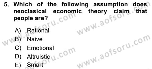 Behavioral Economics Dersi 2024 - 2025 Yılı (Vize) Ara Sınav Soruları 5. Soru