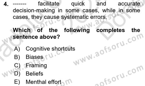 Behavioral Economics Dersi 2024 - 2025 Yılı (Final) Dönem Sonu Sınav Soruları 4. Soru