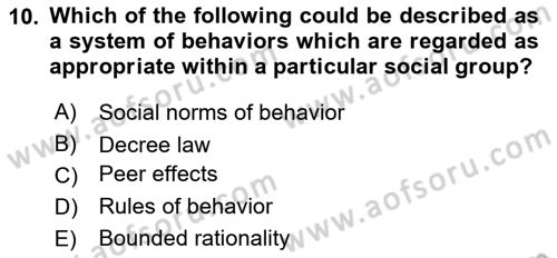 Behavioral Economics Dersi 2024 - 2025 Yılı Yaz Okulu Sınav Soruları 10. Soru
