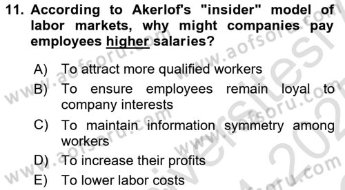 Behavioral Economics Dersi 2024 - 2025 Yılı Yaz Okulu Sınav Soruları 11. Soru