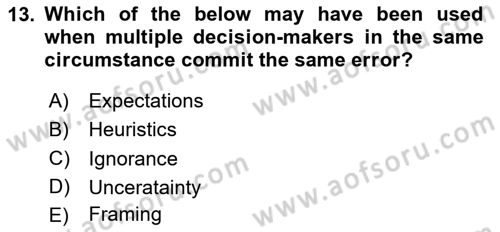 Behavioral Economics Dersi 2024 - 2025 Yılı Yaz Okulu Sınav Soruları 13. Soru