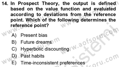 Behavioral Economics Dersi 2024 - 2025 Yılı Yaz Okulu Sınav Soruları 14. Soru