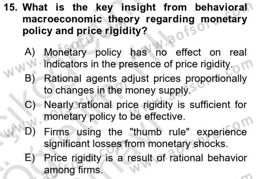 Behavioral Economics Dersi 2024 - 2025 Yılı Yaz Okulu Sınav Soruları 15. Soru
