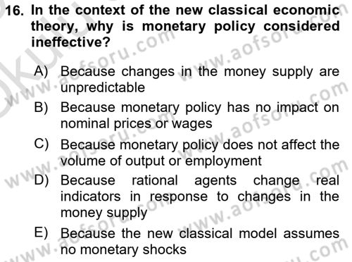 Behavioral Economics Dersi 2024 - 2025 Yılı Yaz Okulu Sınav Soruları 16. Soru
