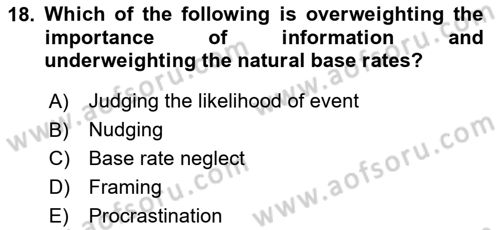 Behavioral Economics Dersi 2024 - 2025 Yılı Yaz Okulu Sınav Soruları 18. Soru